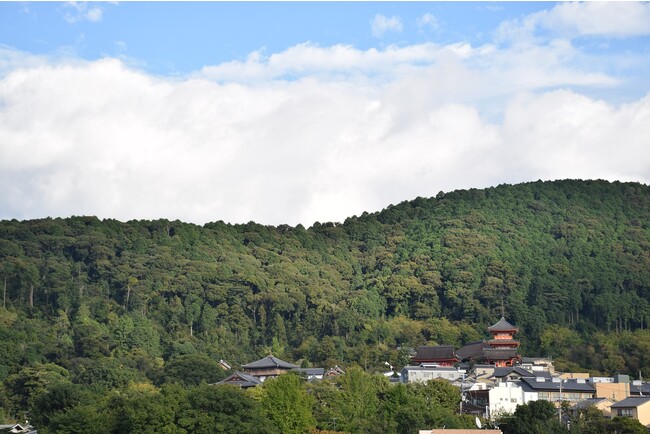 荒廃が進む京都三山の「東山」を、文化育む「共生の森」へ。クラウドファンディング開始