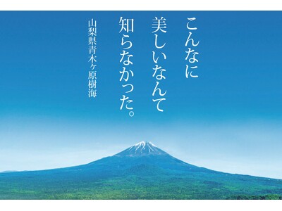 こんなに美しいなんて知らなかった。いのちを育む青木ヶ原樹海の自然に触れる「健やか樹海ウォーキング」を開催...