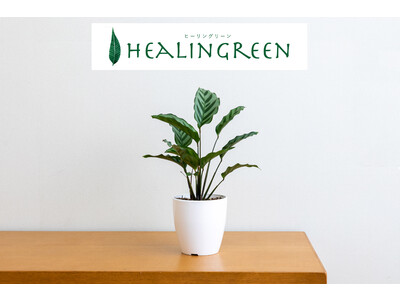 虫対策成分配合でクリーンな観葉植物「HEALINGREEN（ヒーリングリーン）シリーズ」に12cm鉢5種類が仲間入り