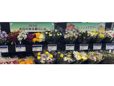 お客様に新鮮な切り花を！花巻フレッシュマネジメントセンター稼働！