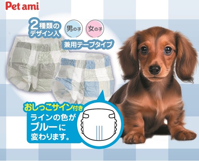 愛犬とのお出掛け、介護やおもらし対策に、「Pet ami」のペット用の紙おむつがリニューアル