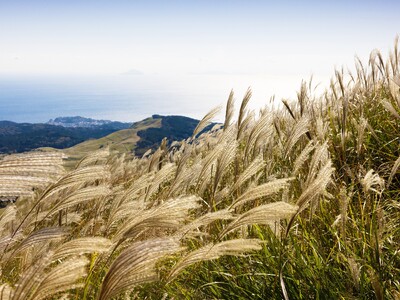 しずおかぐらし相談会を有楽町で開催