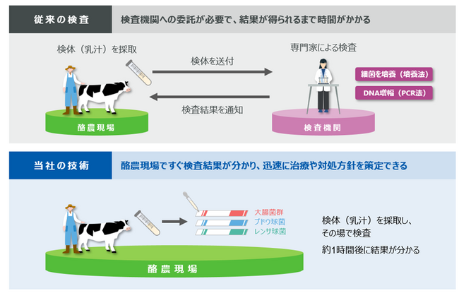 乳牛の乳房炎原因菌を迅速に検出する技術を開発、ライセンス提供を開始