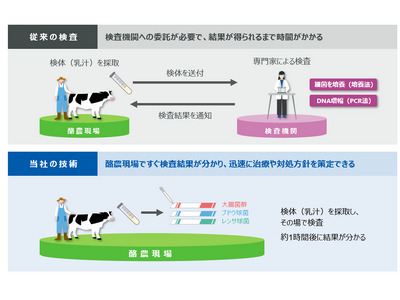 乳牛の乳房炎原因菌を迅速に検出する技術を開発、ライセンス提供を開始