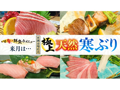 豊洲市場直送の旬！梅の花グループ「さくら水産」で『極上 天然寒ぶり』フェア開催