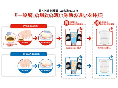 ニチレイフーズ「アマニ豚」の脂が示す新たな消化特性を確認