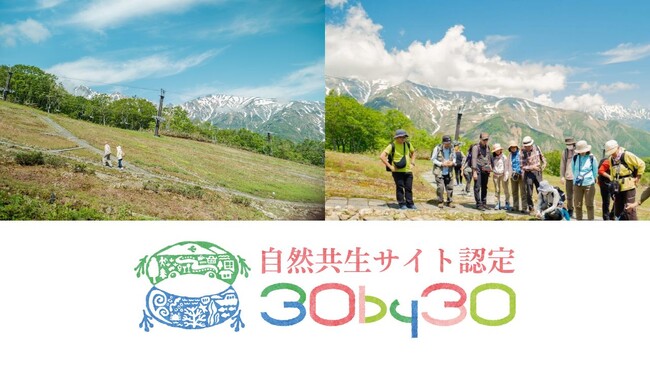 白馬五竜高山植物園が、環境省が定める「自然共生サイト」に認定されました