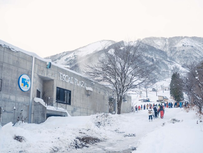 スキー場・エイブル白馬五竜、山頂レストランやベースセンターを大幅改善し全館フルオープン！