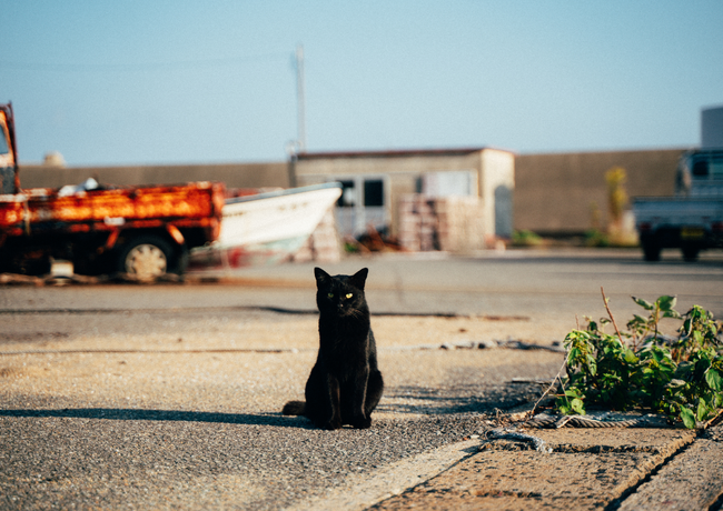 プレスリリース「【長崎・五島列島 新上五島町】「旅人フォトグラファー」プロジェクト始動！」のイメージ画像