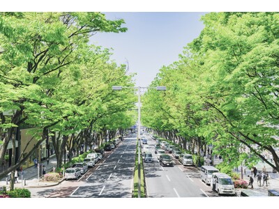 【記念日の館】「アニヴェルセル 表参道」 9月グランドオープンに向けて、フルリニューアルの全容が徐々に明らかに！