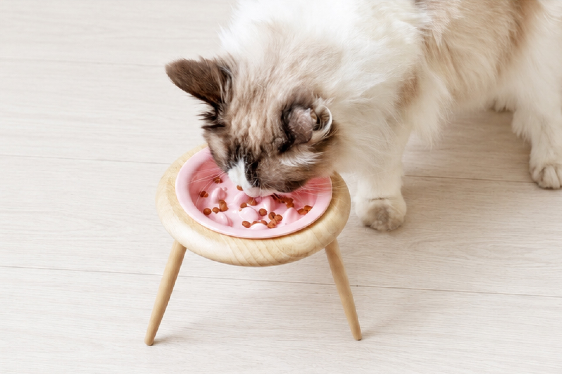 「累計販売数1万個を突破したPetFunフードボウルシリーズから待望の新モデル」早食い防止タイプの予約受付開始、8月中旬より順次発売予定
