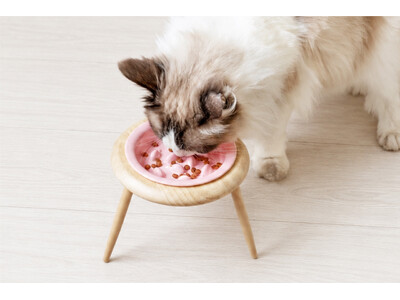 「累計販売数1万個を突破したPetFunフードボウルシリーズから待望の新モデル」早食い防止タイプの予約受付開始、8月中旬より順次発売予定