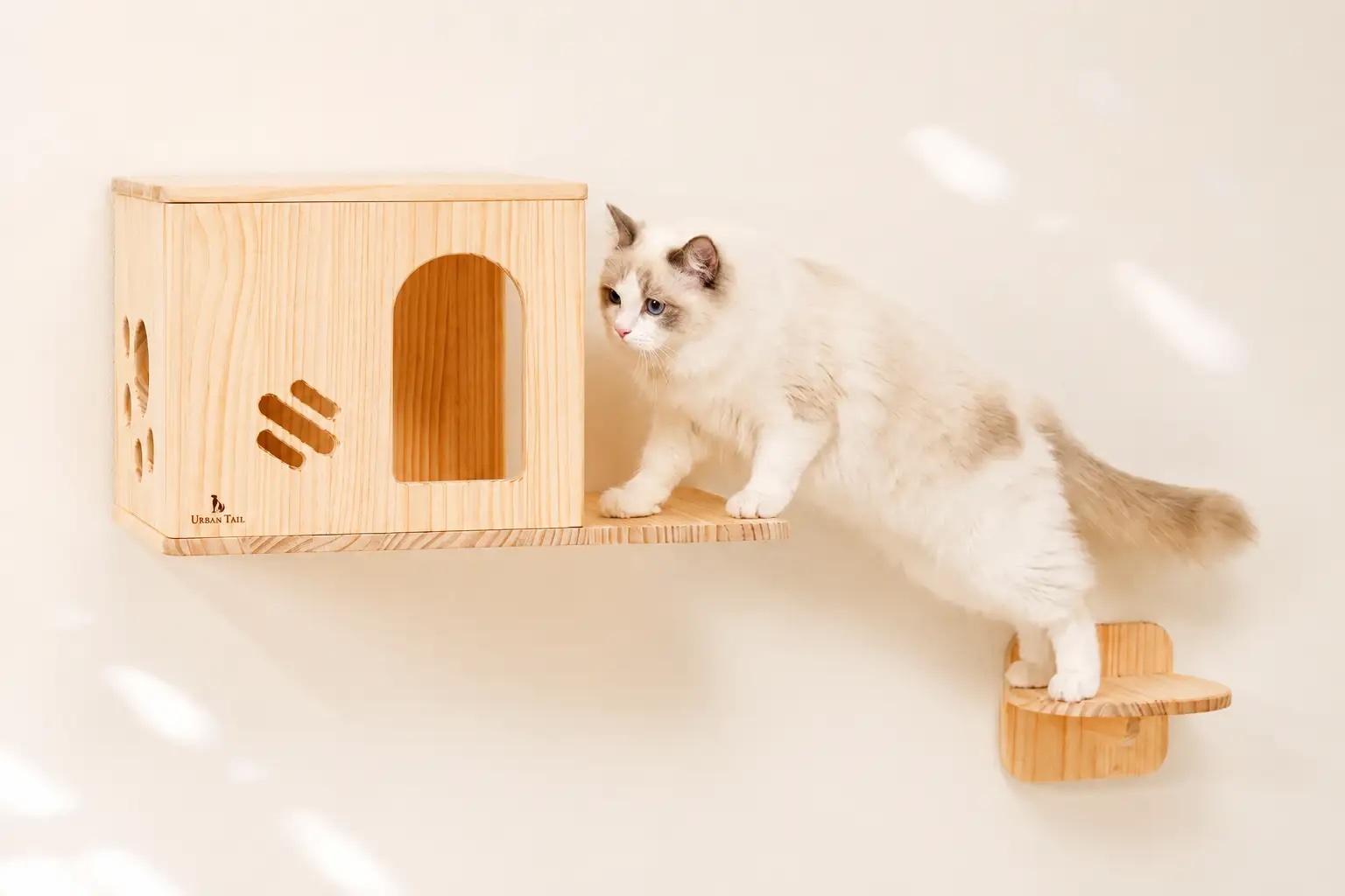 「壁が、猫のお気に入りの場所に」天然木の壁掛けキャットウォーク”にゃんウォール”がAmazonベストセラー1位を獲得