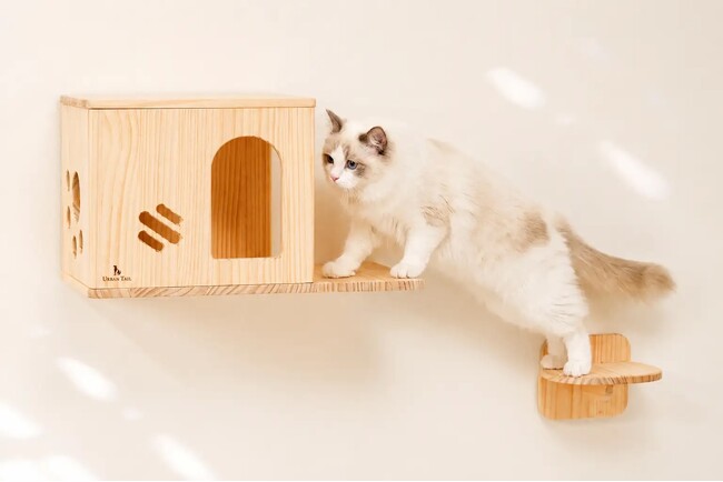 壁が、猫のお気に入りの場所に」天然木の壁掛けキャットウォーク