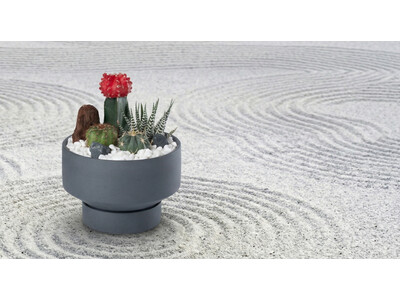 「小さな日本庭園」を部屋に置く。「和モダン」サボテンで静けさを飾る─農園直送で叶える、本格的な和の佇まい