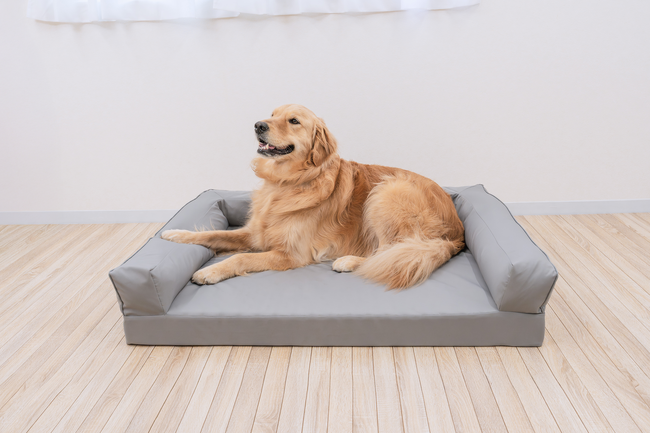 【ドッグトレーナー推奨】犬・猫の“ここが落ち着く”をつくる。包み込まれるような快眠ペットベッド。楽天お買い物マラソンで10％OFFの特別価格に
