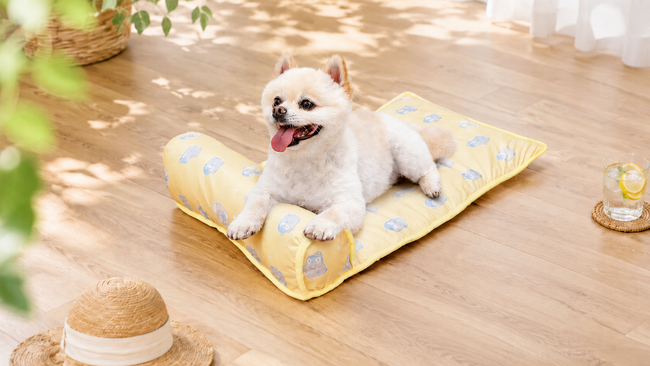「冷たくて心地良い」と愛犬も大満足のレビュー4.45を獲得したペットマットに新色登場、あごのせパッド付きで夏の快適な居場所を叶える2,480円からの冷感マット「あごのせ涼眠マット」