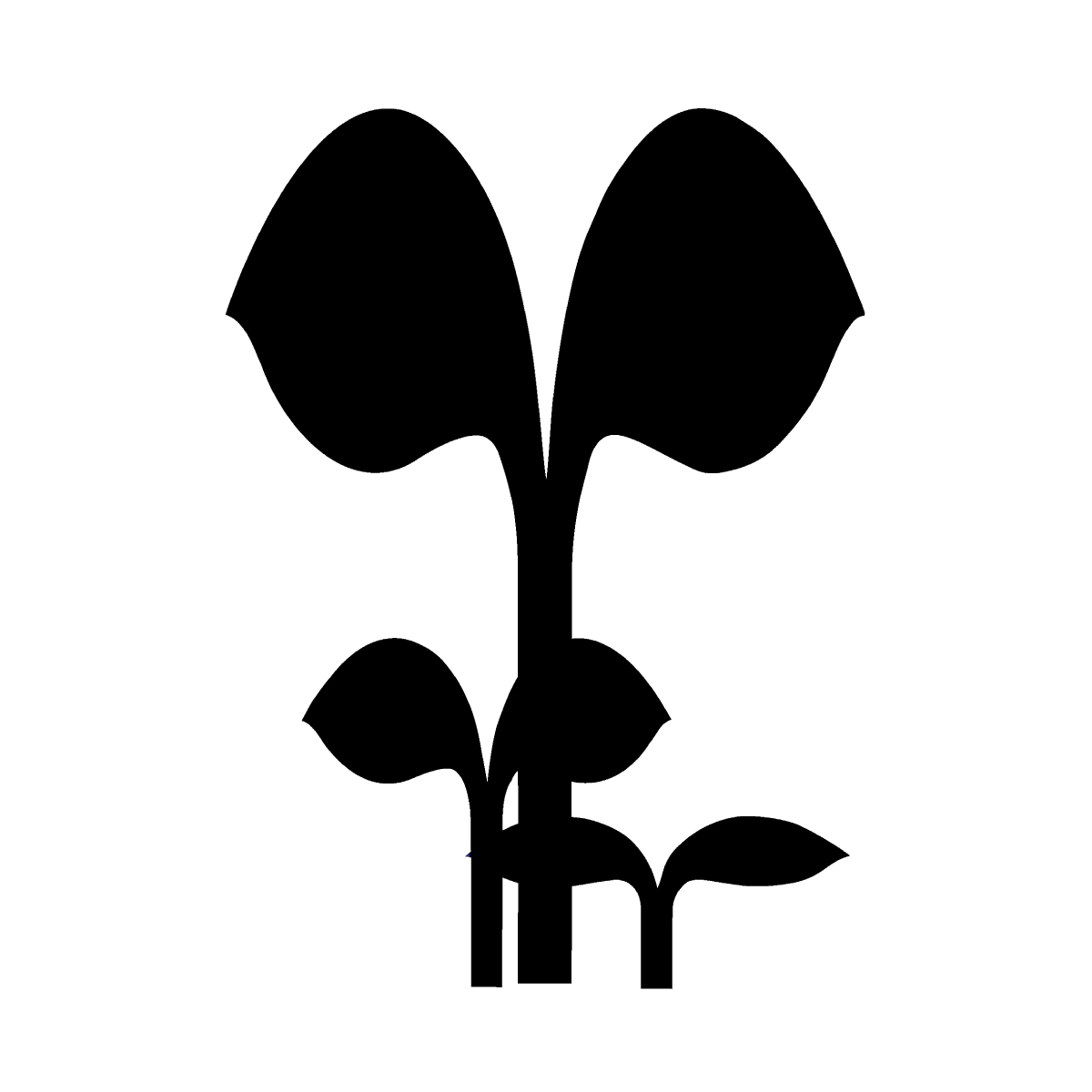 クレイを「見て・触れて・学んで」楽しめる！天然素材「クレイ」の魅力を伝える体験イベント「クレイの日」を10月19日に同時開催