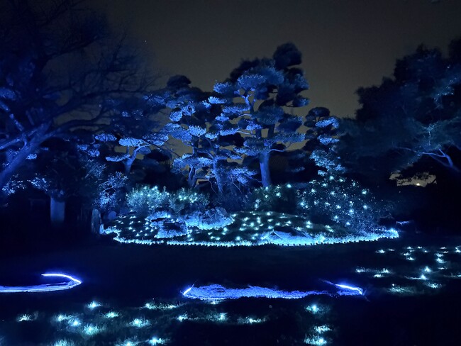 プレスリリース「永寿院の庭にひろがる“光の気配”｜福岡「博多旧市街ライトアップウォーク2025 千年煌夜」にてデジタルアート作品展示」のイメージ画像