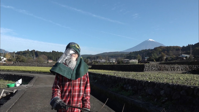 SBSTVuЂ܉Ƒ`񂭂Ƃ17N`vUSj[[NtFXeBoiNew York Festivalsj  @ QOQQ ܁III