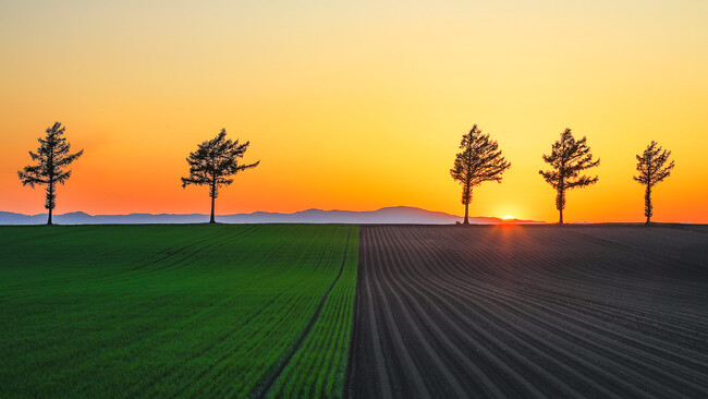 「第九回 草の日フォトコンテスト」開催!