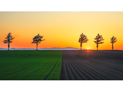 「第九回 草の日フォトコンテスト」開催！