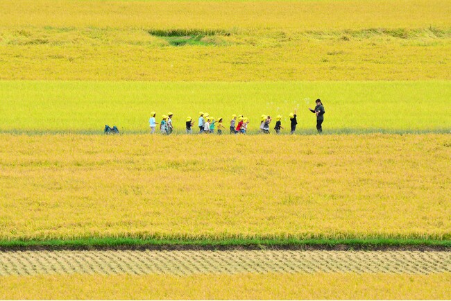 「農っていいね」を写真で発見。第九回「草の日フォトコンテスト」受賞作品を発表