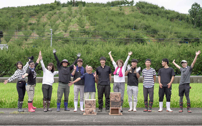 愛知県産 梅 8キロ 今週末収穫　5月1日発送予定 日本一の梅産地・和歌山県みなべ町にて5年目の「梅収穫ワーケーション