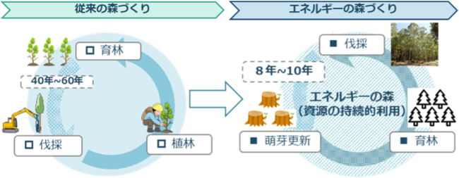 株式会社エコグリーンホールディングスは、東京大学演習林の研究者グループと千葉県において、早生樹を活用した持続可能なエネルギーの森づくり実証事業（植林・育苗）をスタートさせました。