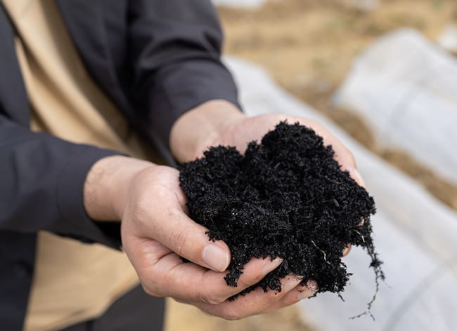 株式会社TOWINGがGreen Carbon株式会社の運営する稲作コンソーシアムに加盟バイオ炭・水田の中干し延長のクレジット創出で連携