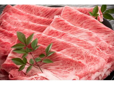 「2025年 美食都市アワード」受賞記念！⽢海⽼カツピラミッドや⽢海⽼押しずしなど期間限定メニューがふくい南⻘山291等に登場