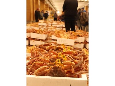 三国港（福井県坂井市）年末「歳の市」は、12月28日