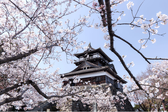 丸岡城が国内最大級の祭典「お城EXPO2025」に出陣！