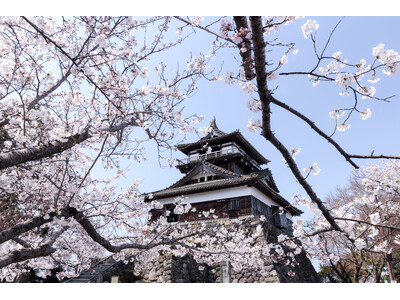 丸岡城が国内最大級の祭典「お城EXPO2025」に出陣！