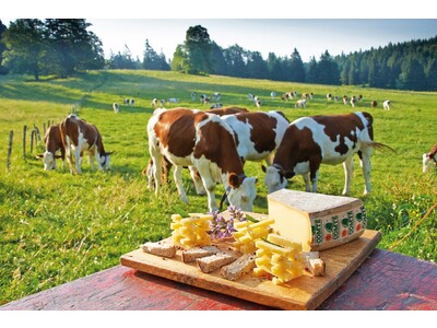 観光PRイベントにて、フランス産チーズ「コンテ」をアピール