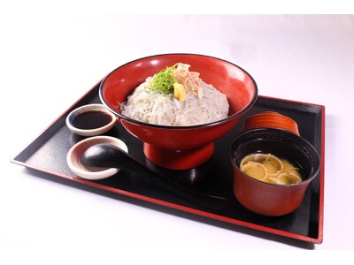 「青島海鮮料理 魚益」から春の新メニュー登場！宮崎県日向灘産「しらす」をたっぷり使った『海幸彦生しらす丼...