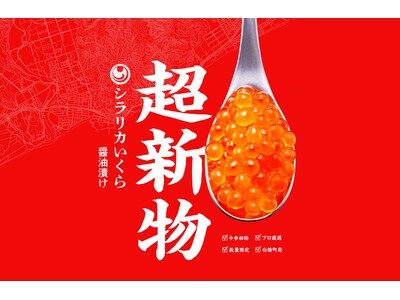 北海道白糠町のブランド「シラリカいくら」に「超新物」が登場！