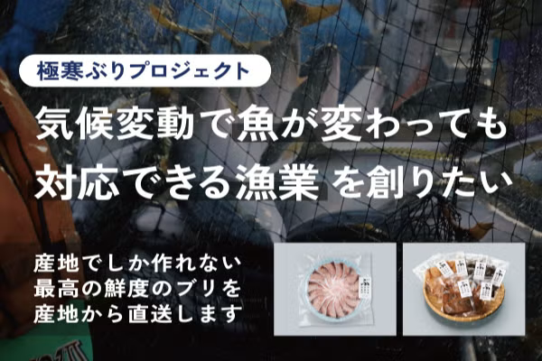 CAMPFIREにてクラウドファンディングを開始【極寒ぶりプロジェクト】北海道白糠町のブリ価値化を通し、魚種が変わっても対応できる漁業をめざす