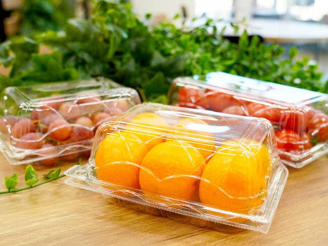 青果物汎用容器として「ＮＺＷシリーズ」を新発売。売り場での使用頻度が高い大・中・小の3サイズを追加！！汎用サイズ拡充で売場での「内容物保護」を後押し！