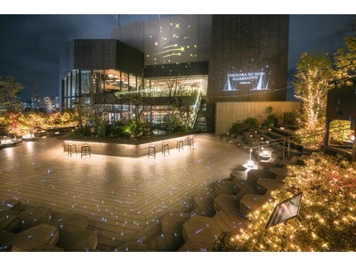 年明けも楽しめるイルミ！オモカド×NAKED、表参道の真ん中に「星降る森」が出現