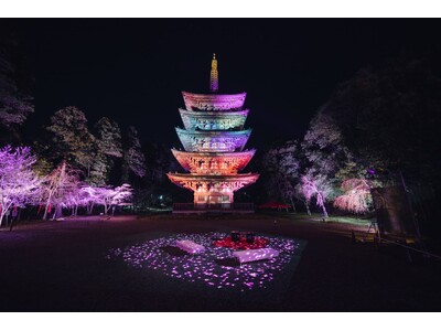 桜満開間近！『そうだ 京都、行こう。Presents NAKED meets 世界遺産 醍醐寺 -醍醐花...