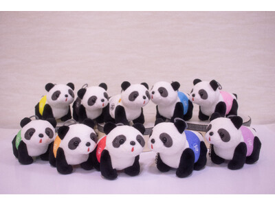 �Ԃ₵���̃p���_�J�[��10�F�ɁI�������p���_�J�[�����I