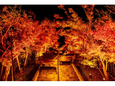 【長門湯本温泉】秋の夜に灯りに照らされる紅葉を楽しむ、「秋の夜長のそぞろ歩き」今年も開催決定｜開催日：2026年10月23日～2026年11月29日