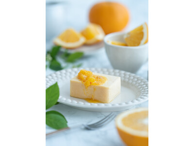 初夏の誘惑「甘夏チーズテリーヌ」果肉たっぷりソースを添えて