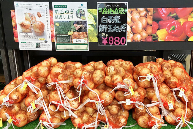 食品ロスの「もったいない」を解決するカインズ「くみまちマルシェ」5月11日から「千葉県白子町産　無選別新たまねぎ市」を開催