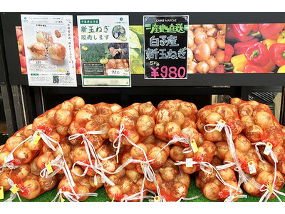 食品ロスの「もったいない」を解決するカインズ「くみまちマルシェ」5月11日から「千葉県白子町産　無選別新...