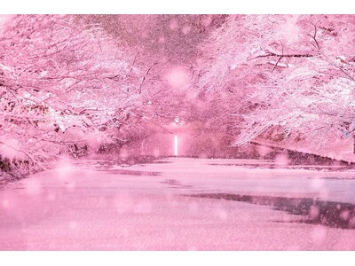 【冬の青森県・函館観光スポット】Webメディア「*and trip.」で「ひと旅 ふた旅、めぐる旅。 青森県・函館観光キャンペーン」にあわせて記事を公開中！