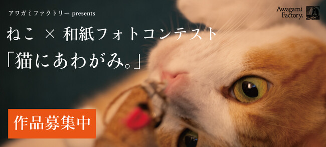 「ねこ写真」を募集中！阿波和紙ブランドのアワガミファクトリーがフォトコンテストを開催