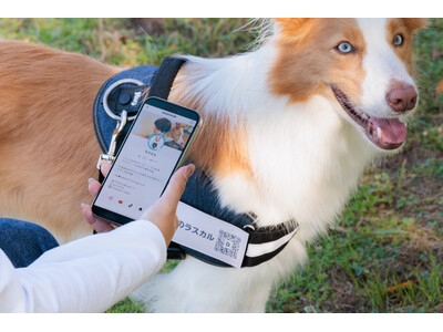 【犬用アプリ連携ネームタグ】DOGGY'sQRの一般販売を開始！新しいコミュニケーション体験&スマート迷子札としての機能も。