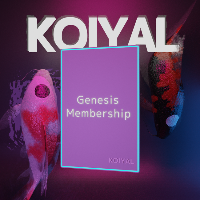 現実の錦鯉オーナーになれるNFTプロジェクト、KOIYALをリリース